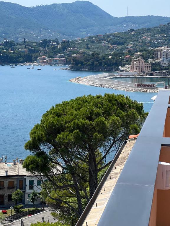 The sea and the pine on the terrace, with Santa Margherita at the back