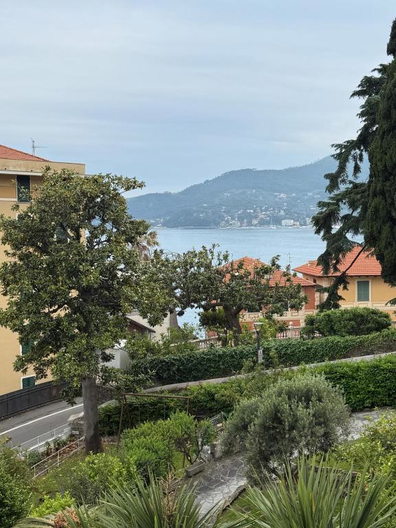 Primavera 1A, Rapallo, photograph 24 of 41